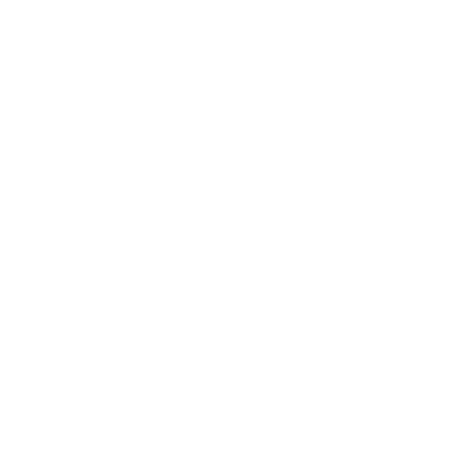 jewelry appraisal icon