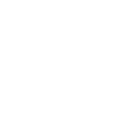 Custom Made Icon