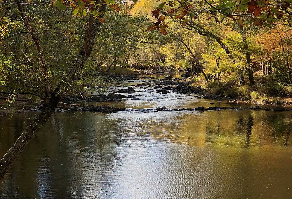 eno river photo by patrick king