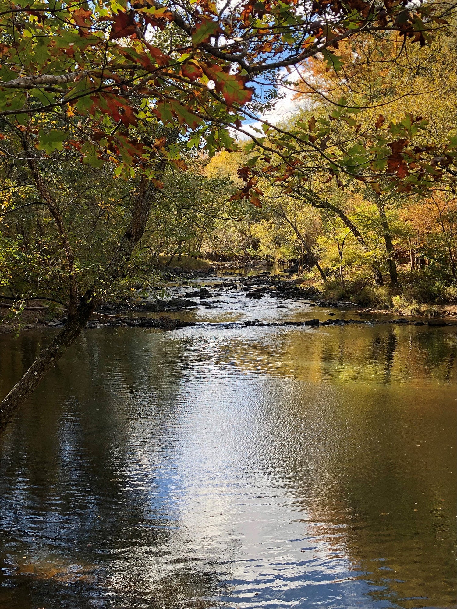 Eno River Park Durham NC