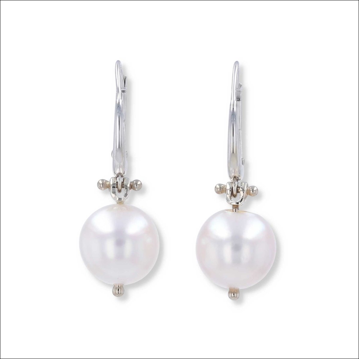 Akoya Pearl Lever Back Earrings 14KW - JewelsmithEarrings
