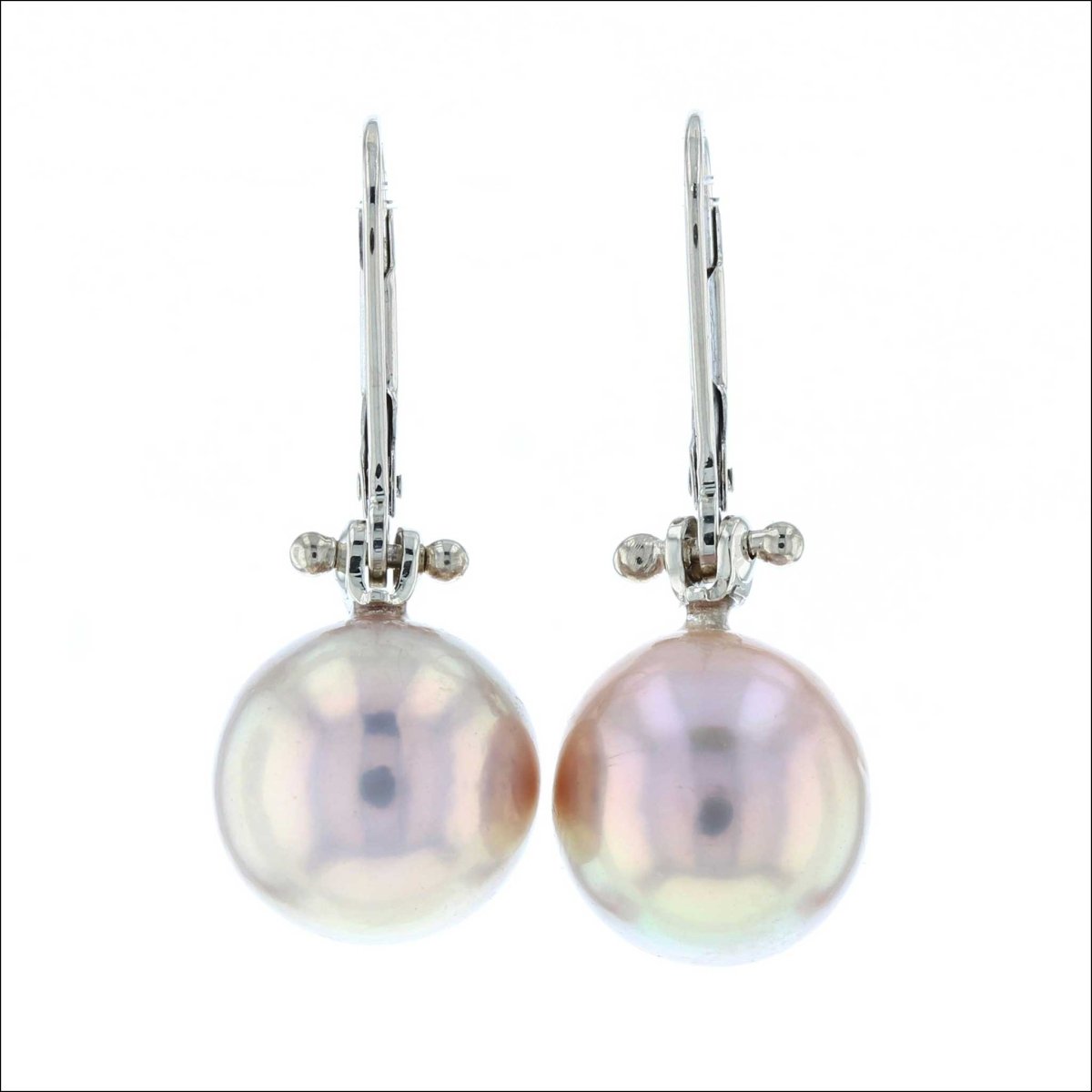 Metallic Pink Freshwater Pearl Lever Back Earrings 14KW - JewelsmithEarrings