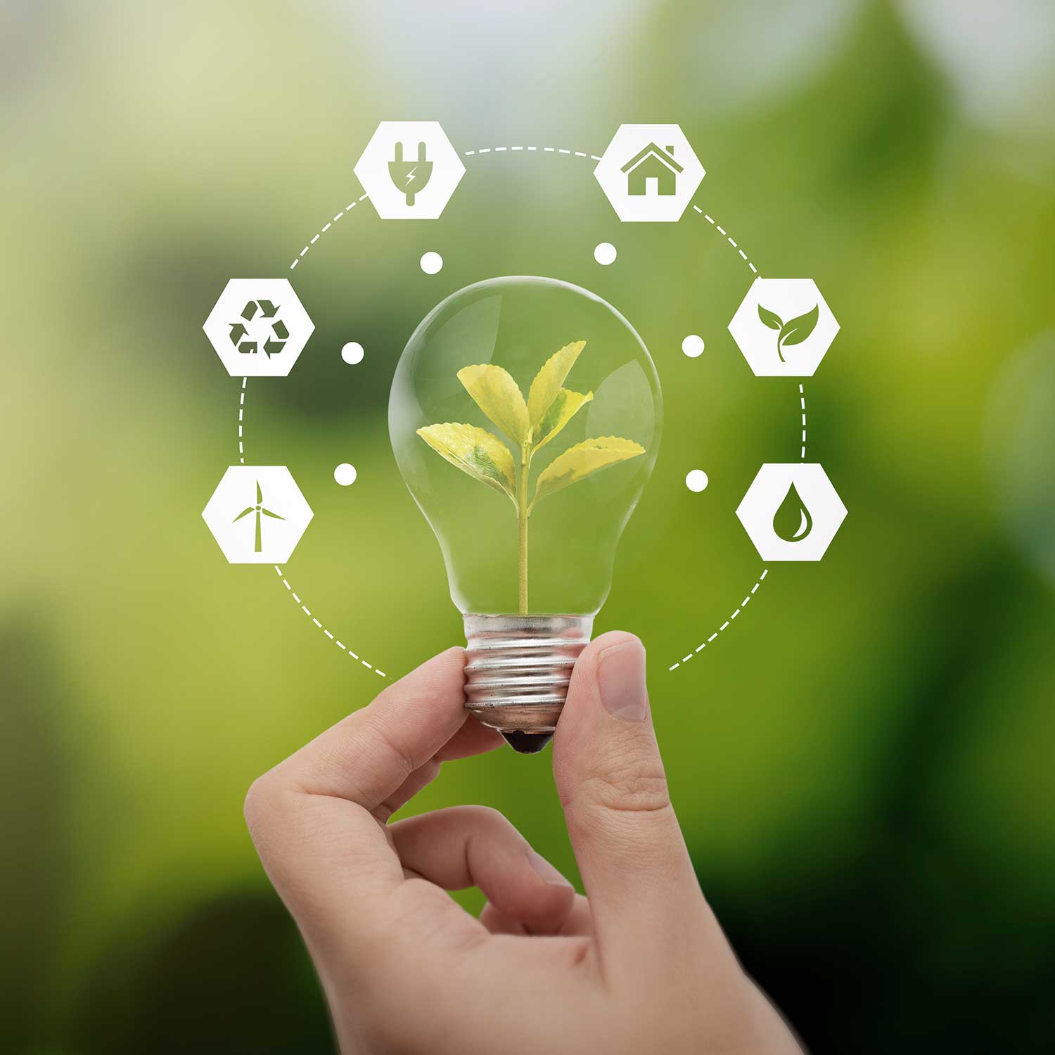 illustration of green energy, lightbulb with plant and clean energy symbols