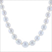 Oval White Chinese Freshwater Pearl Strand Necklace 14KW 18" - JewelsmithNecklaces