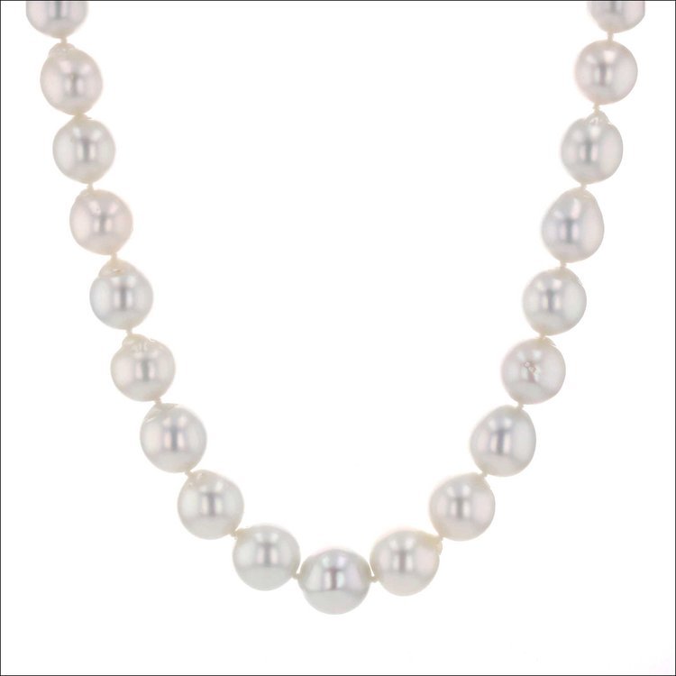White South Sea Pearl Strand Necklace 19" 14KW - JewelsmithNecklaces
